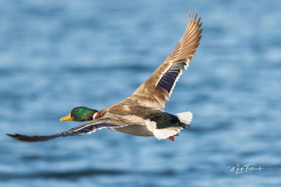 received_352348842858967