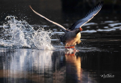 received_468904050900288