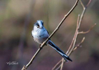 received_893705267869619